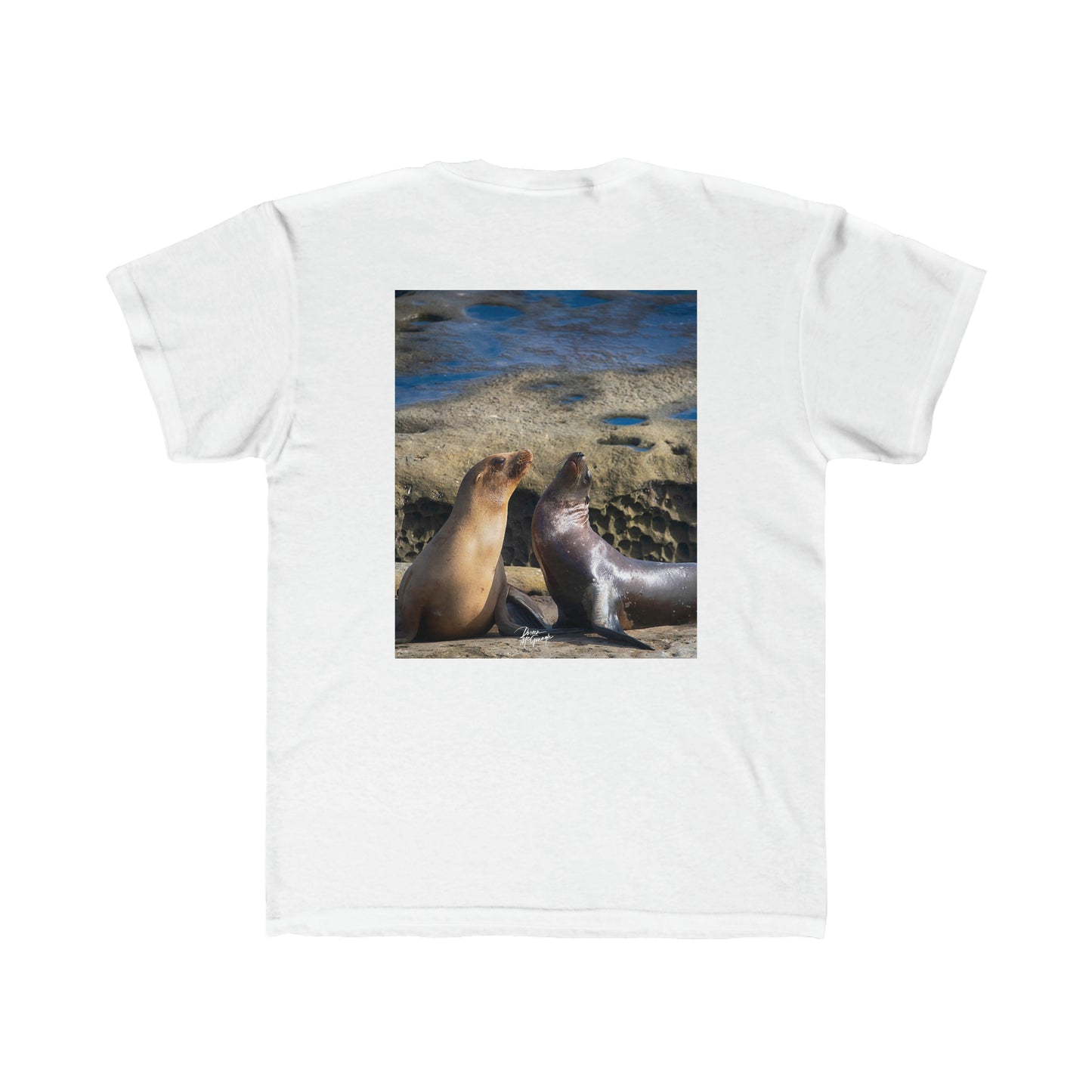 Youth T shirts Playful Serenade Sea Lions, t shirts for kids, inspired by nature