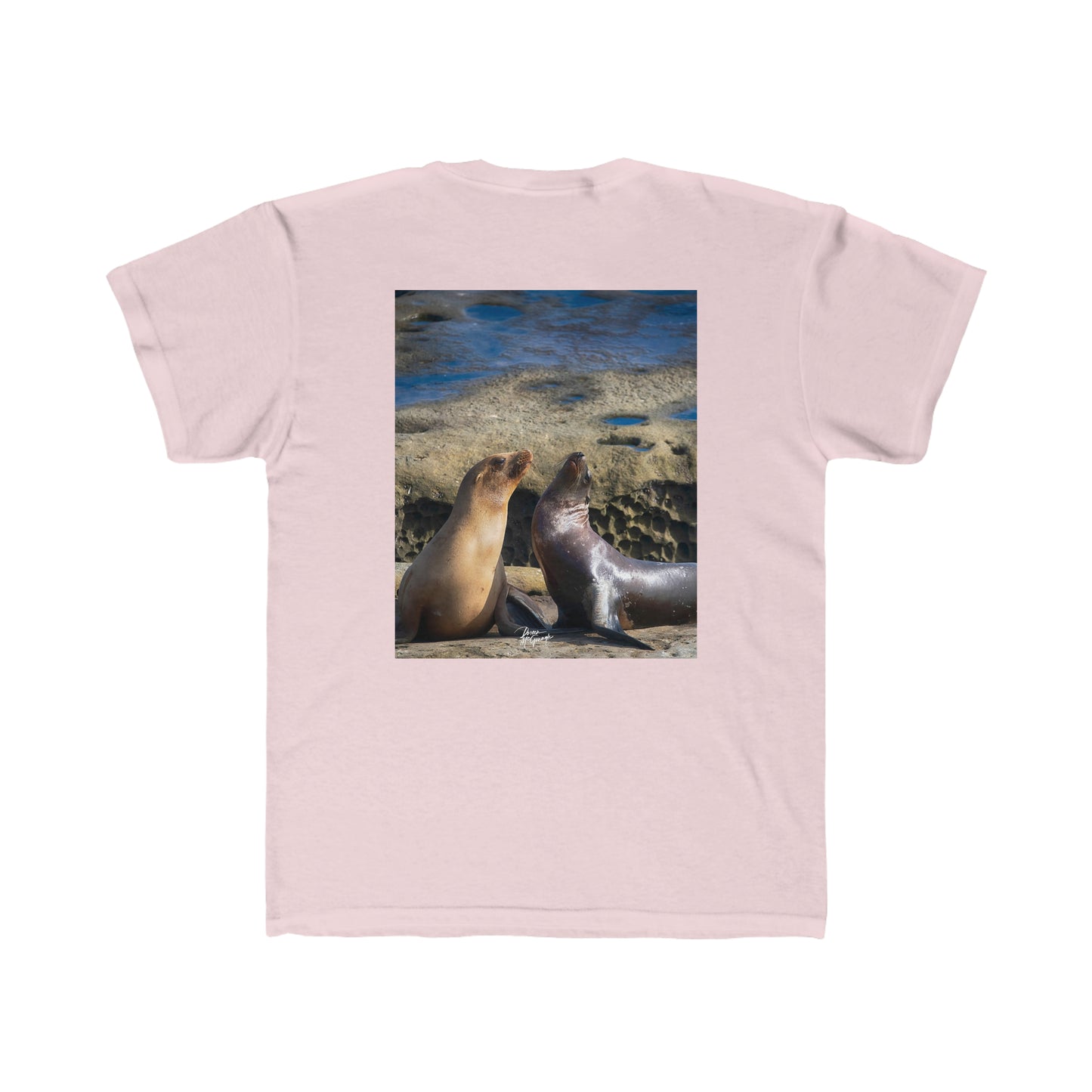 Youth T shirts Playful Serenade Sea Lions, t shirts for kids, inspired by nature