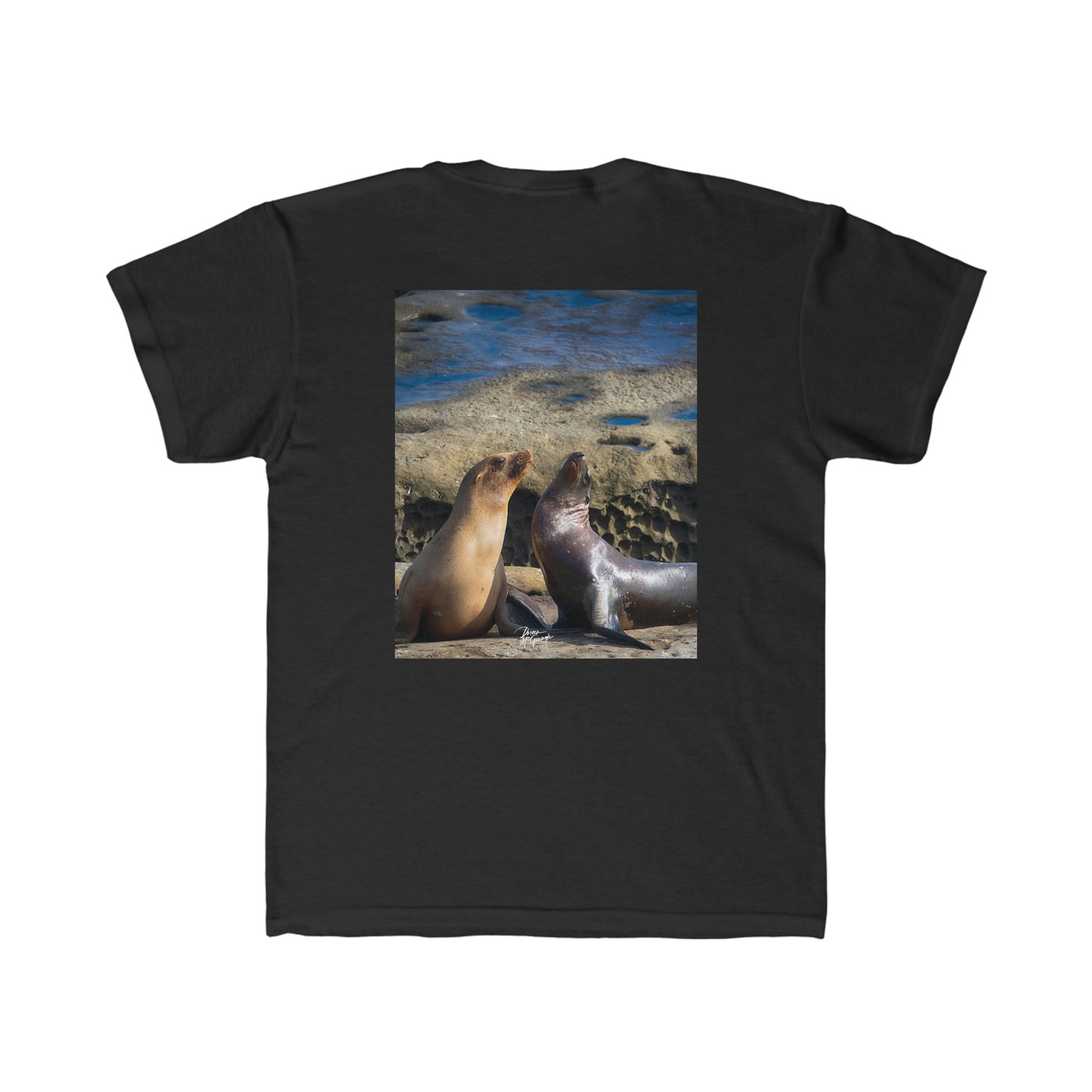 Youth T shirts Playful Serenade Sea Lions, t shirts for kids, inspired by nature