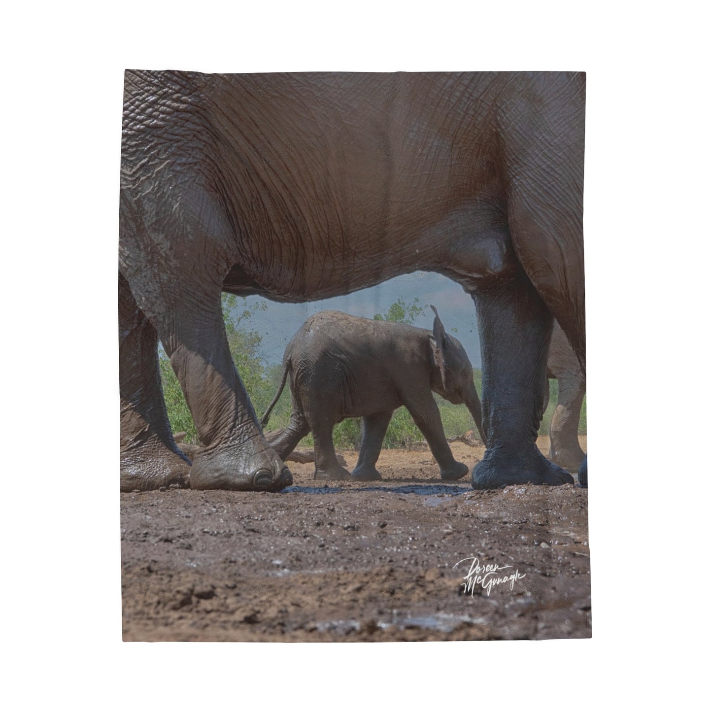 Velveteen Plush Blanket with Mother Watching Over Elephant Baby by Enjoy Nature