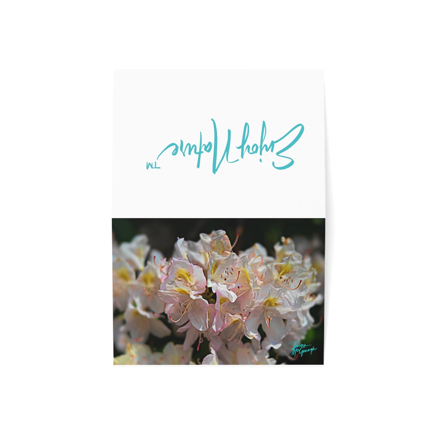 Photo note cards, Nova Scotia White Blooming Azalea, boxed note cards, (10 pcs)