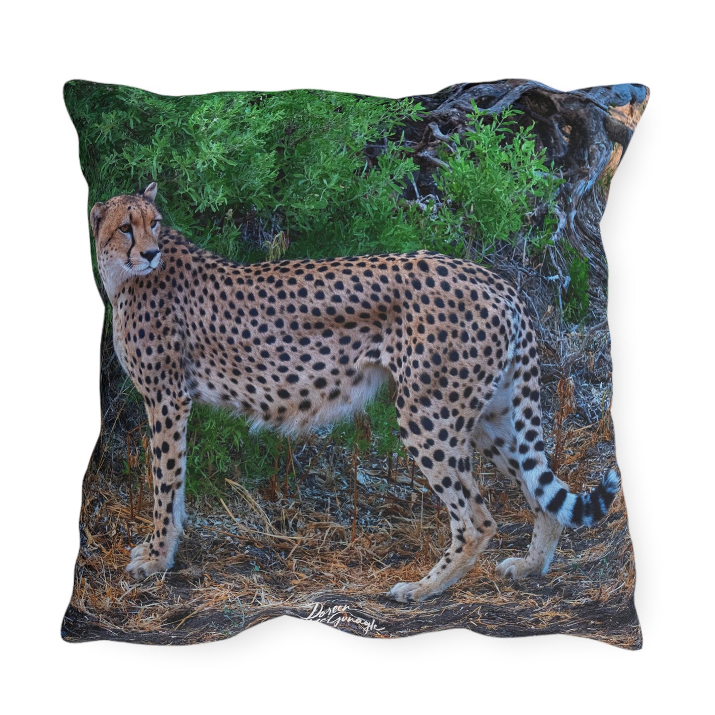 Enjoy Nature Outdoor Pillow with Cheetah Stand – Artistic, Comfy, and Durable Decorative Accent