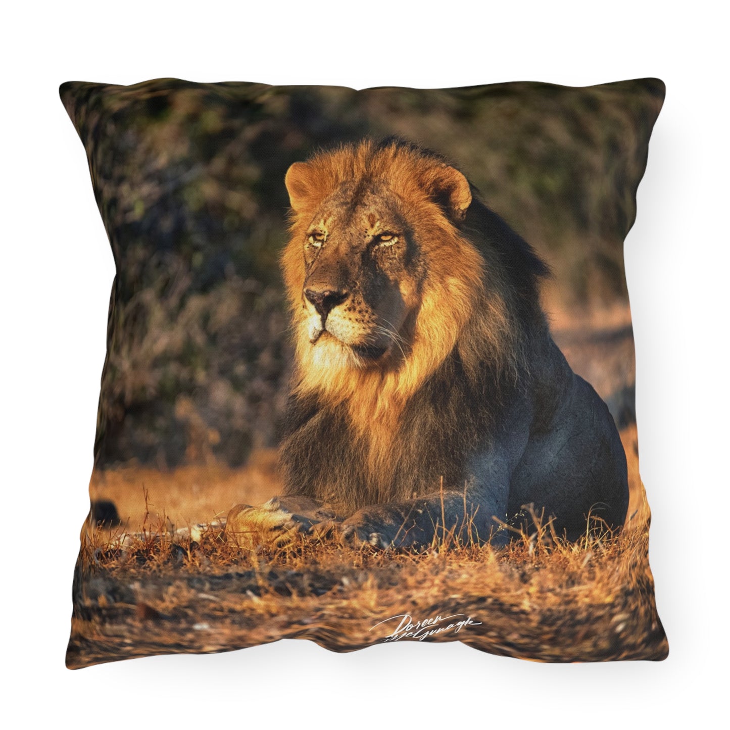 Enjoy Nature Outdoor Pillow with Lion King of Jungle – Artistic, Comfy, and Durable Decorative Accent