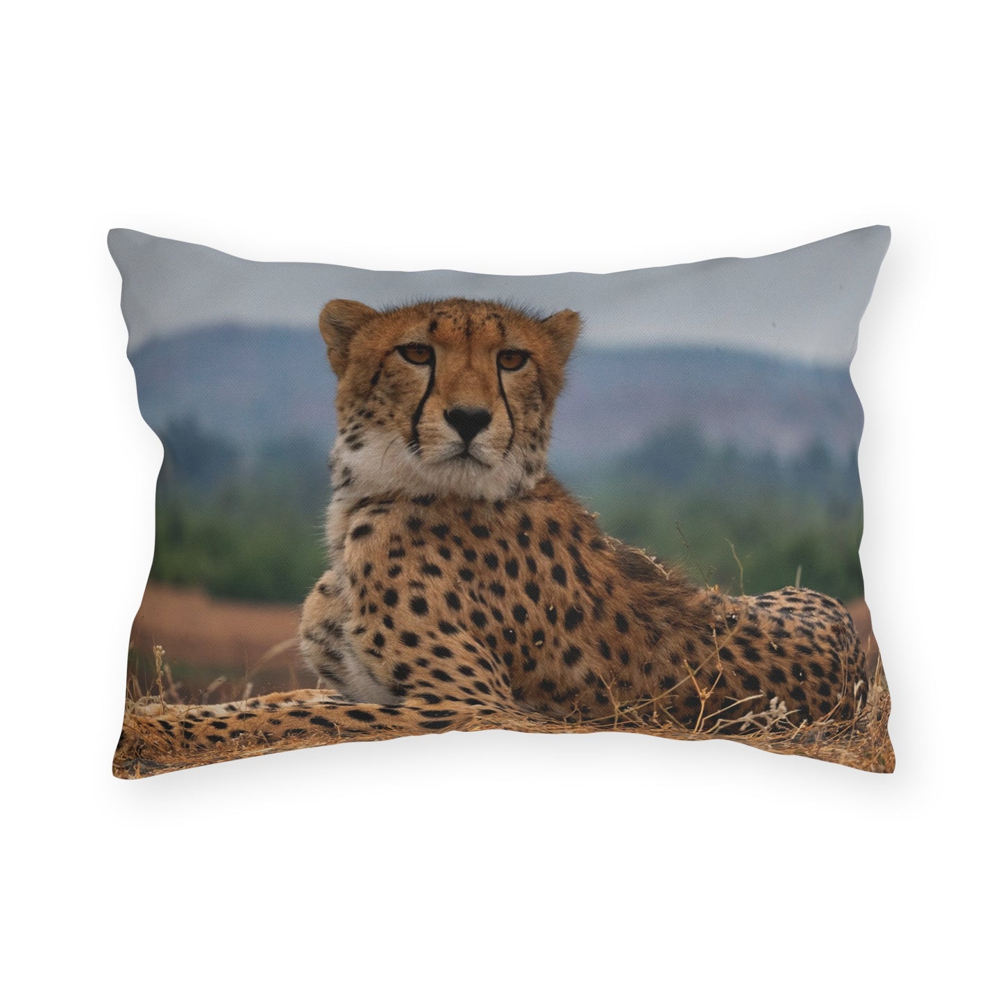 Enjoy Nature Outdoor Pillow with Cheetah Portrait – Artistic, Comfy, and Durable Decorative Accent