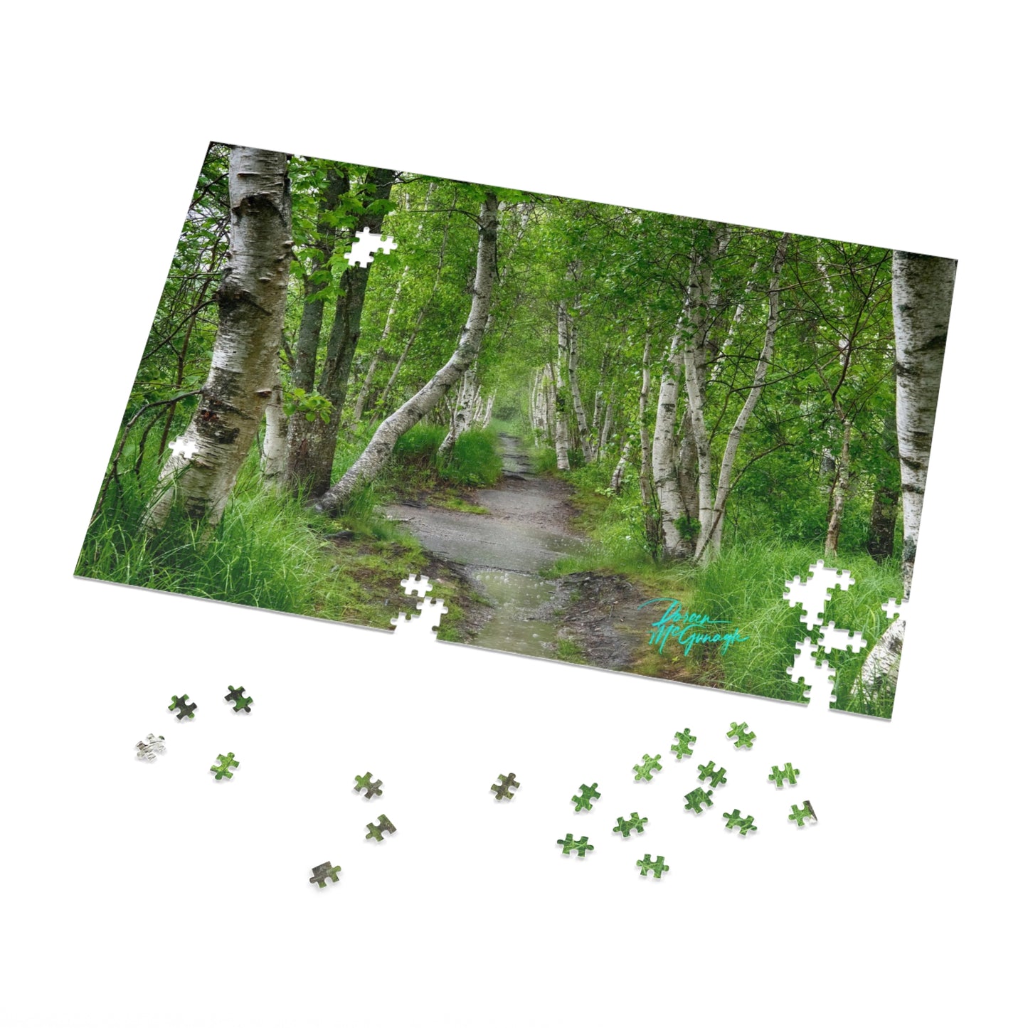 Nature Puzzles, Silver Birch Trail, inspired by nature