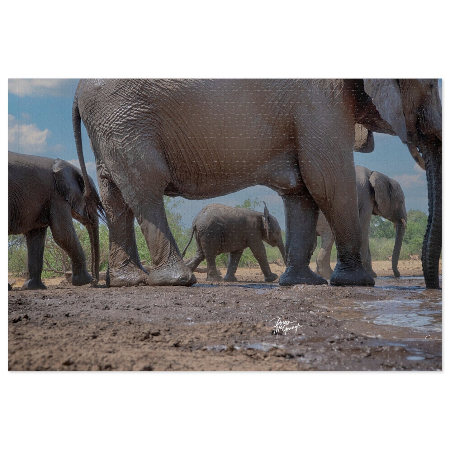 Mom with Elephant Baby Jigsaw Puzzle by Enjoy Nature