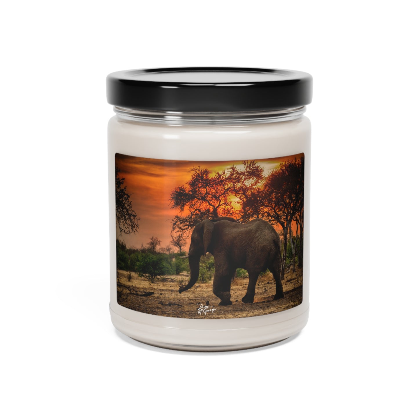 Experience the Pure Essence of Nature with the Spirited Elephant at Sunset Scented Soy Candle by Enjoy Nature