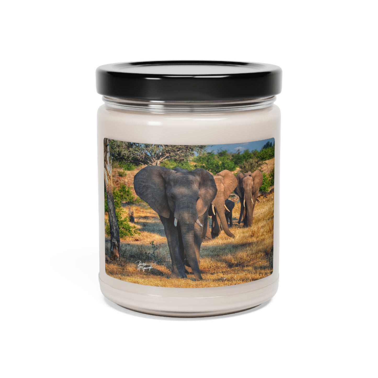 Experience the Pure Essence of Nature with the Elephant Walking Through African Savanna Scented Soy Candle by Enjoy Nature