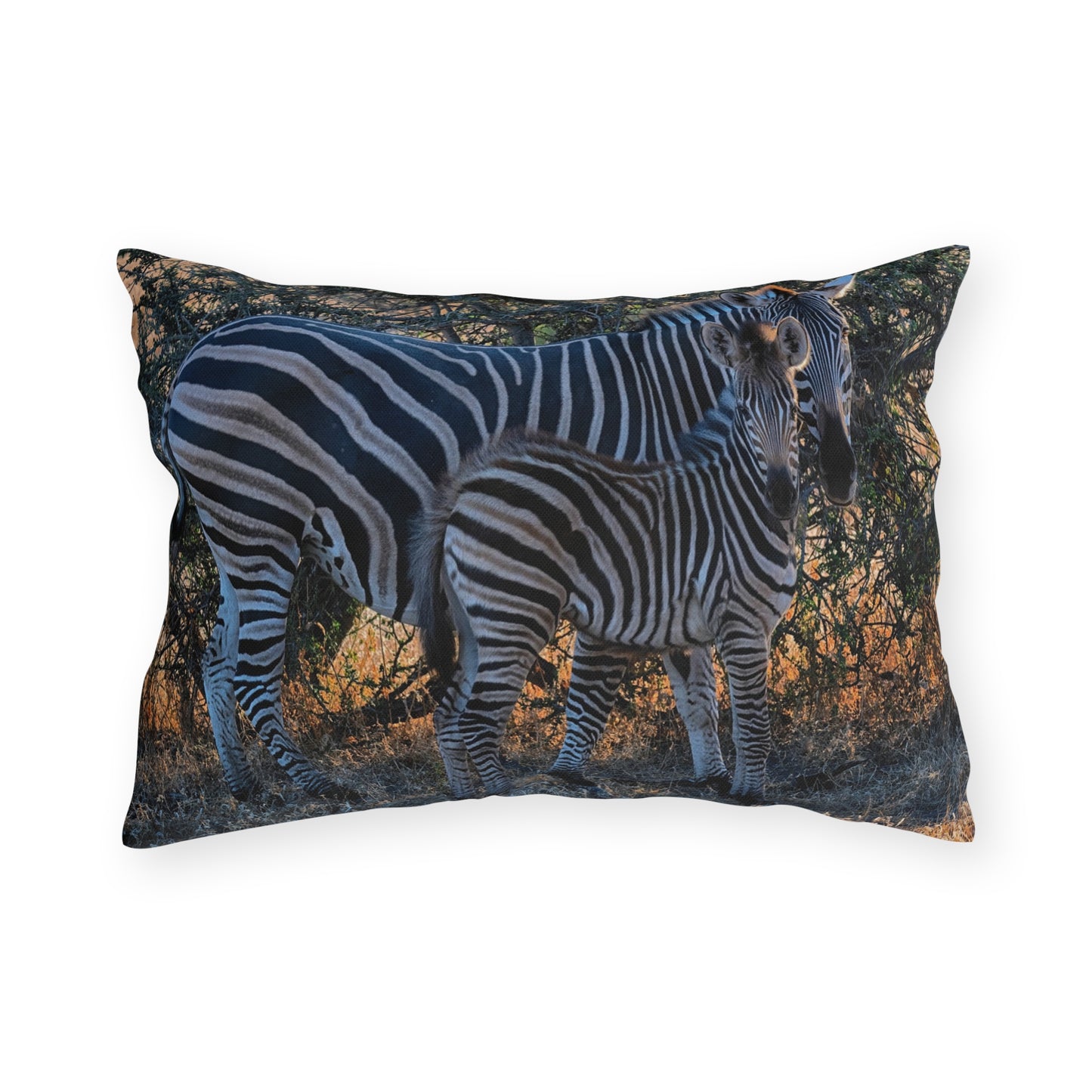 Enjoy Nature Outdoor Pillow with Zebra Stripes – Artistic, Comfy, and Durable Decorative Accent