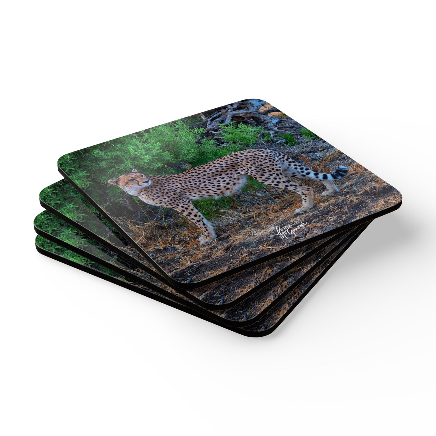 Cheetah Stand Corkwood Coaster Set (Box of 4)