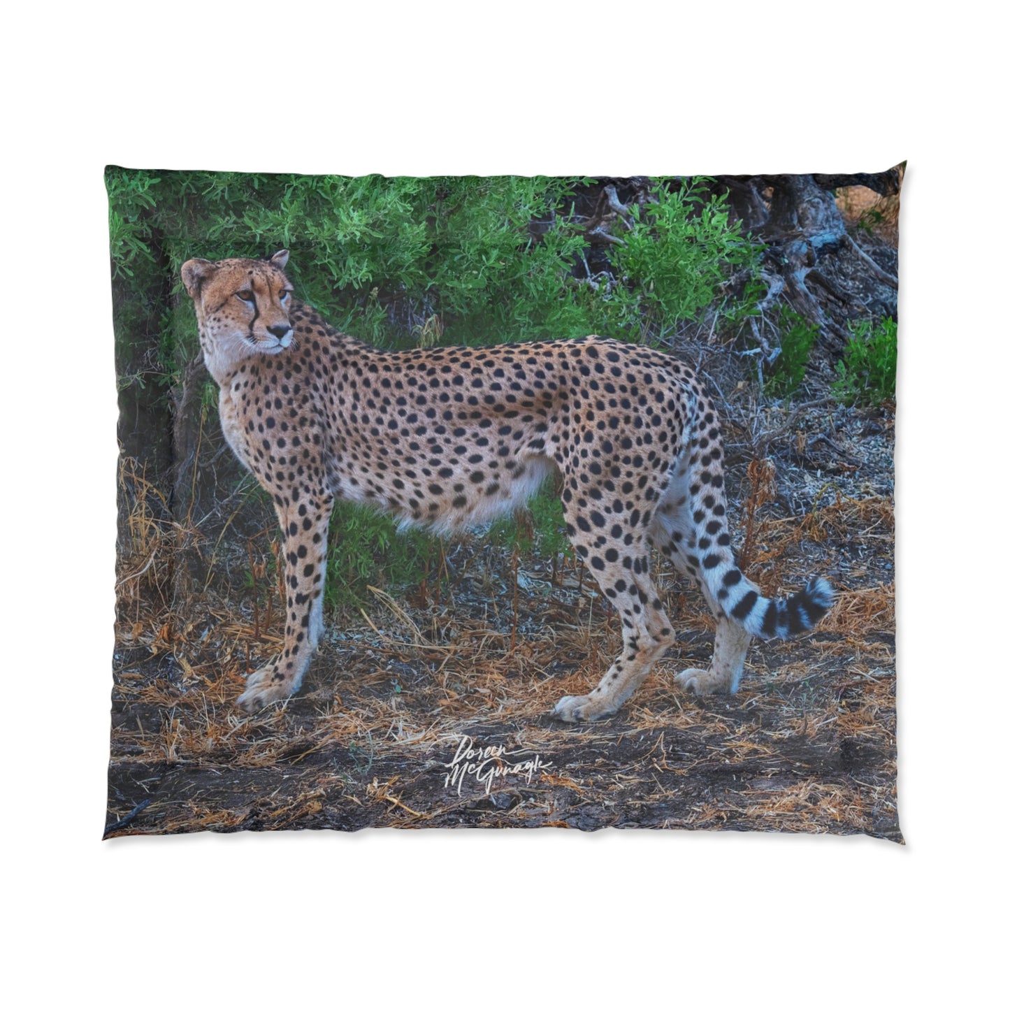 Cheetah Stand Comforter by Enjoy Nature