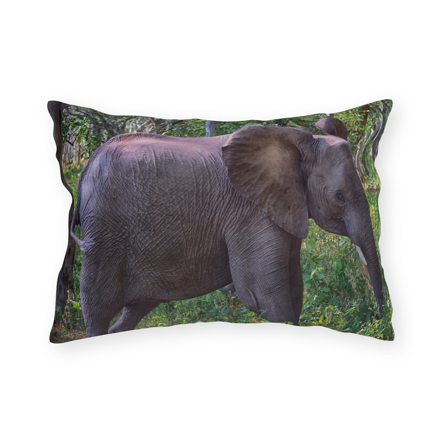 Enjoy Nature Outdoor Pillow with Elephant Baby in Forest – Artistic, Comfy, and Durable Decorative Accent