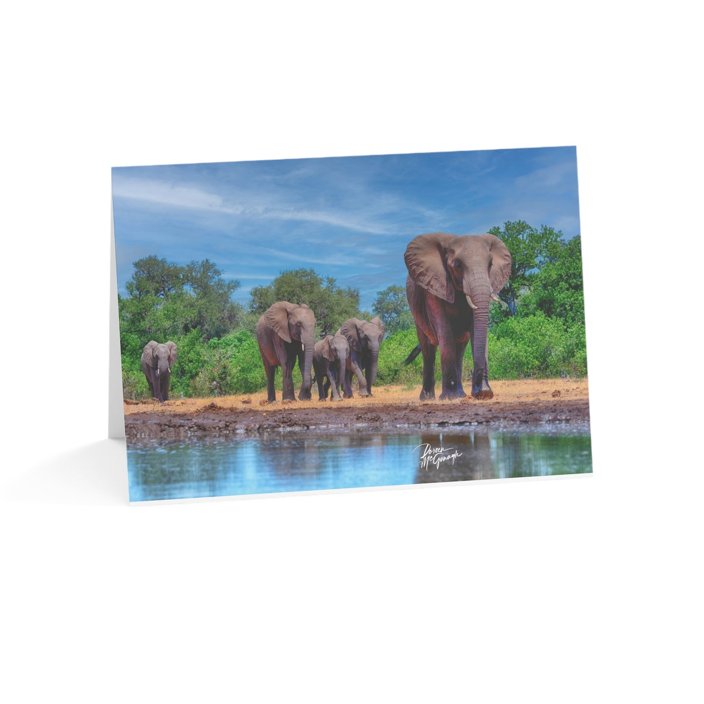 5x7 note cards of Elephant Family at Watering Hole (10cs)