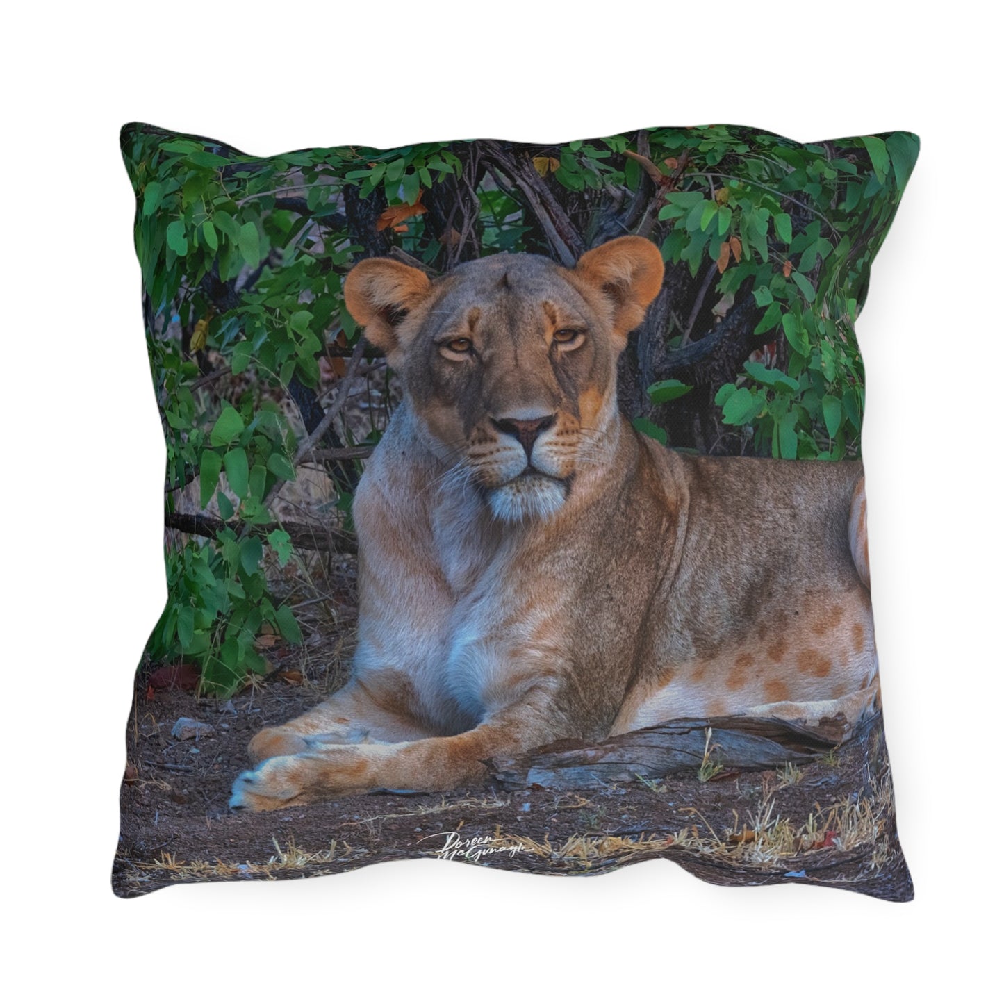 Enjoy Nature Outdoor Pillow with Dreaming About a Lioness – Artistic, Comfy, and Durable Decorative Accent