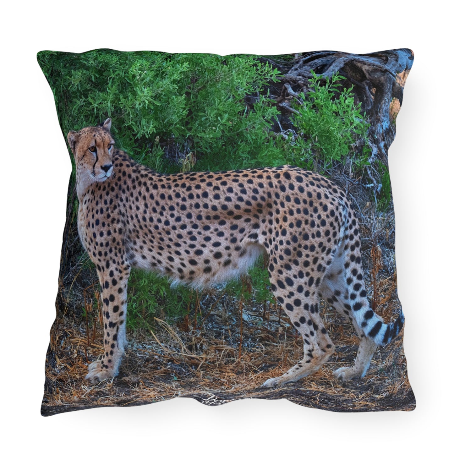 Enjoy Nature Outdoor Pillow with Cheetah Stand – Artistic, Comfy, and Durable Decorative Accent