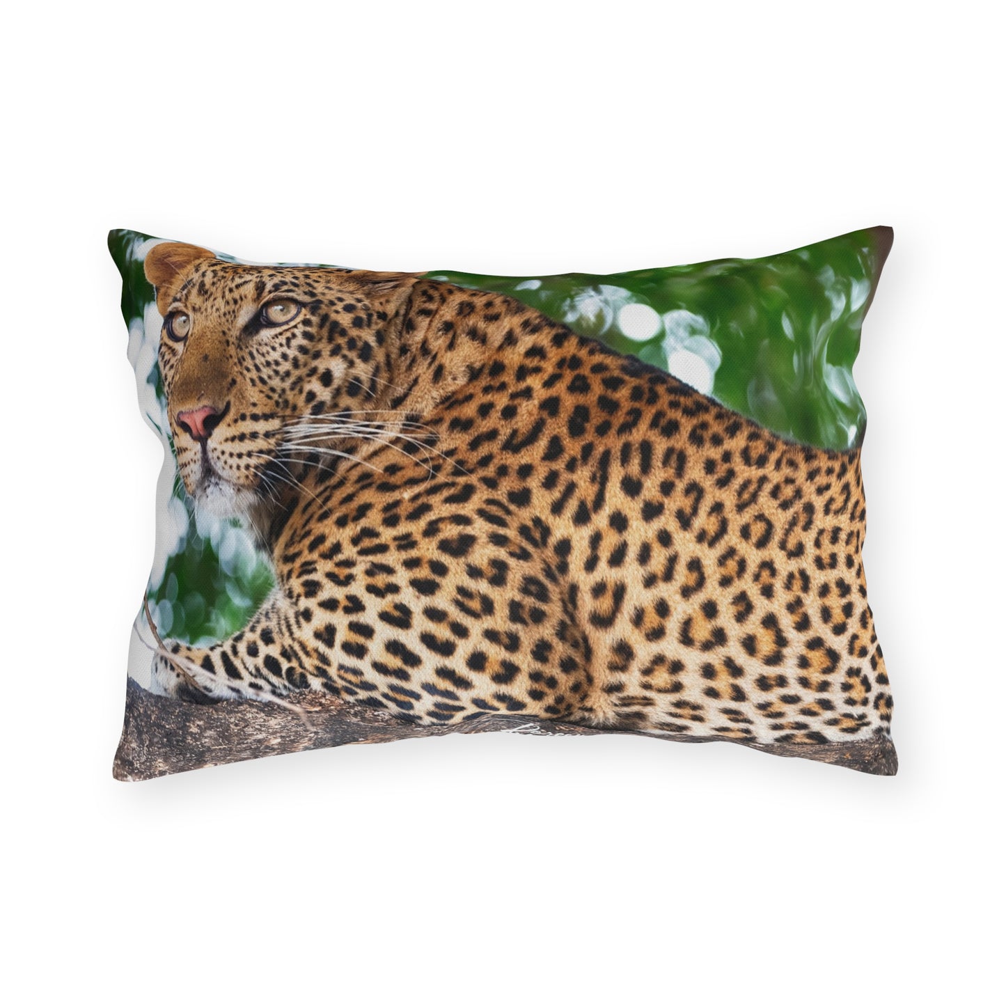 Enjoy Nature Outdoor Pillow with Leopard in Tree – Artistic, Comfy, and Durable Decorative Accent