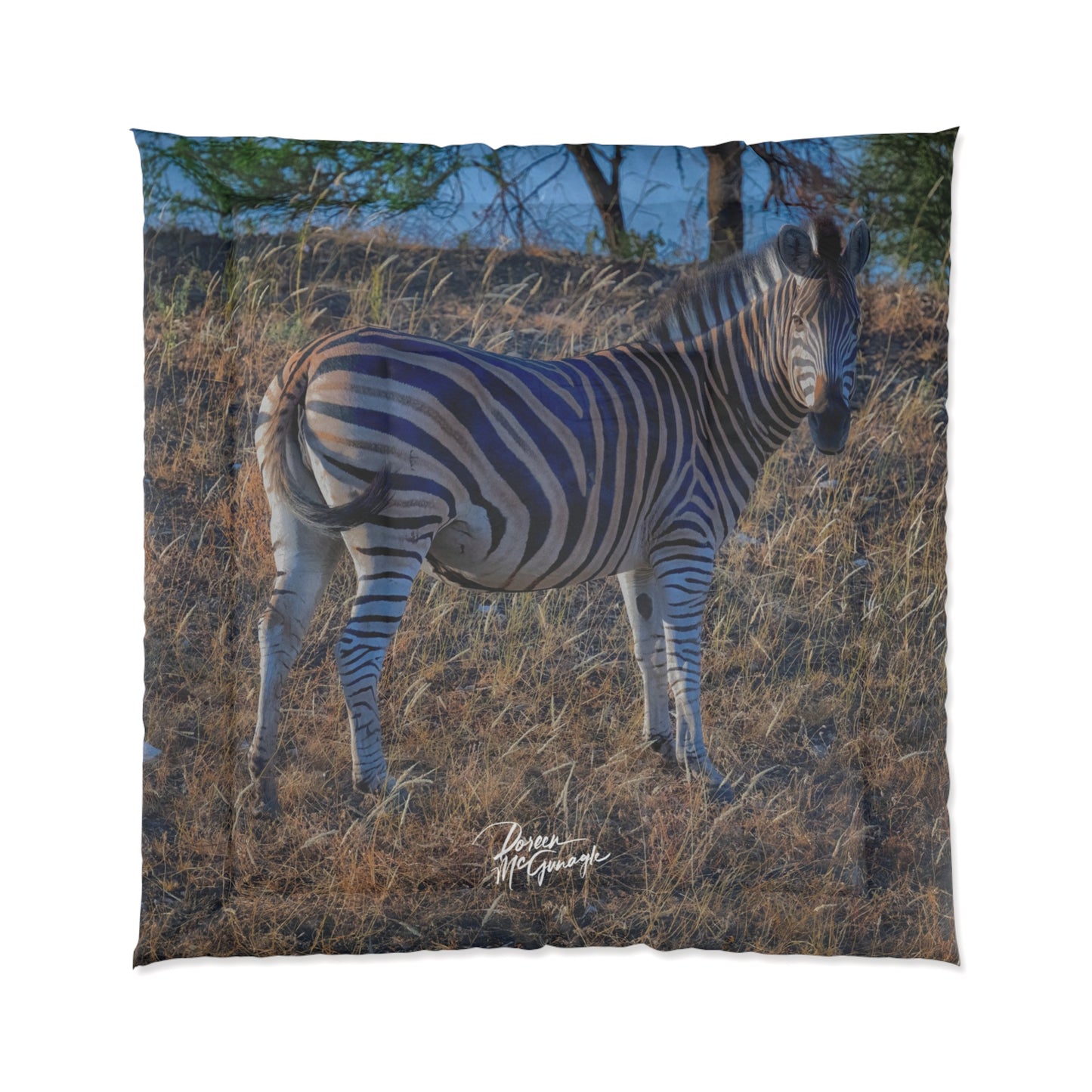 Baby Zebra Comforter by Enjoy Nature