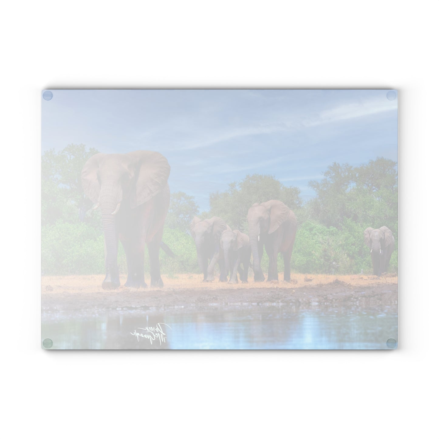 Enjoy Nature Glass Charcuterie Cutting Board with Elephant Family at Watering Hole Design