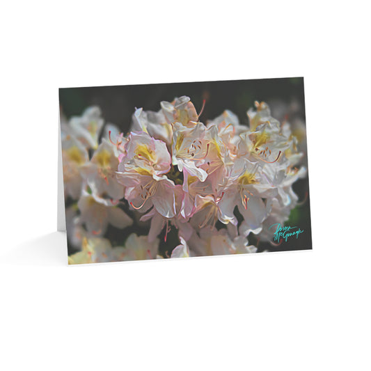 Photo note cards, Nova Scotia White Blooming Azalea, boxed note cards, (10 pcs)