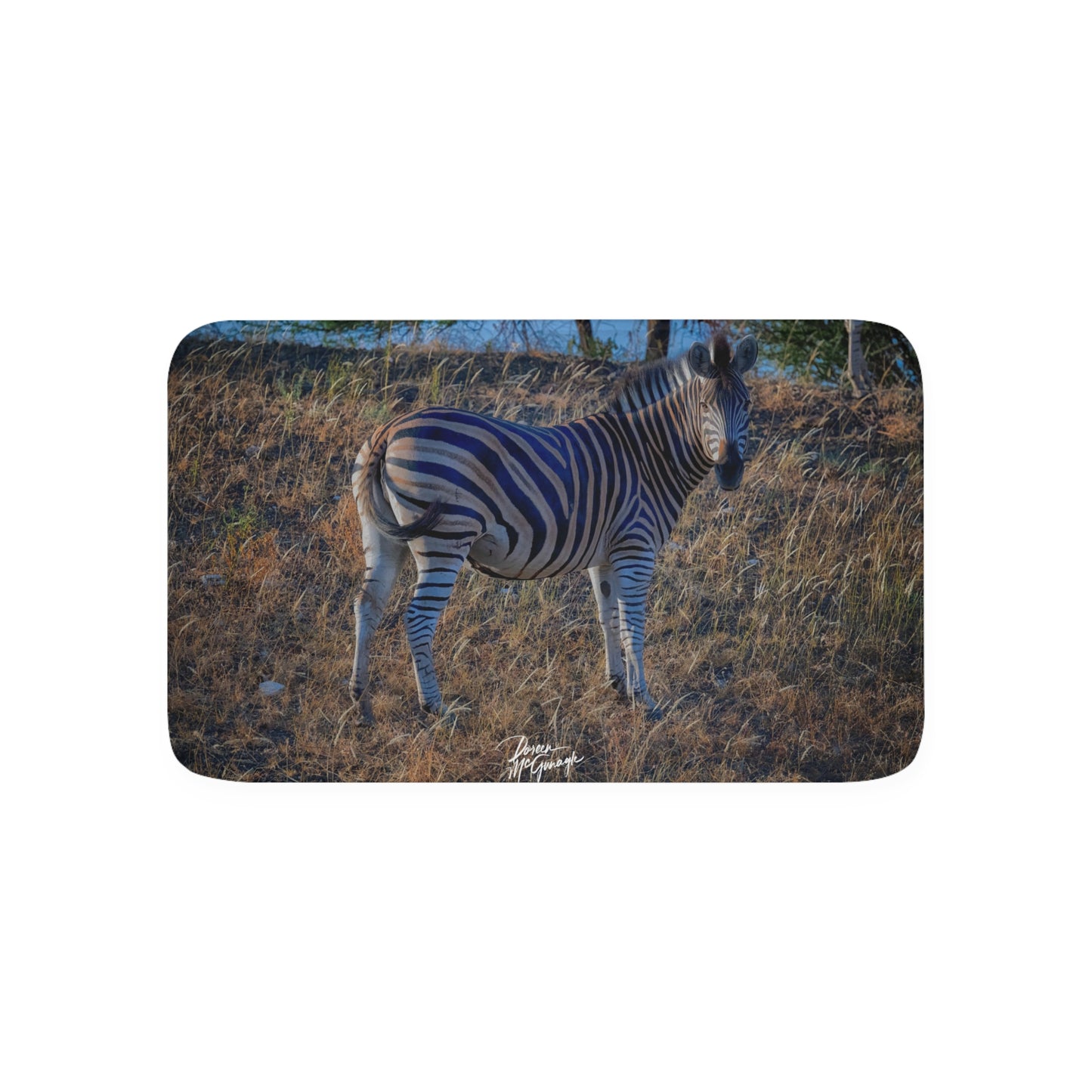 Baby Zebra Memory Foam Bath Mat from Enjoy Nature