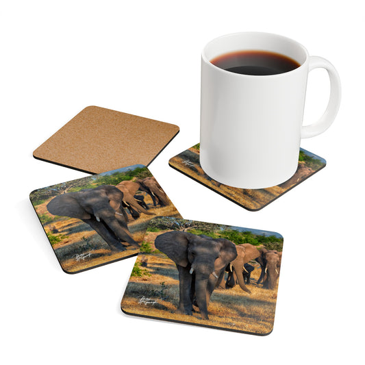 Elephant Walk Corkwood Coaster Set (Box of 4)