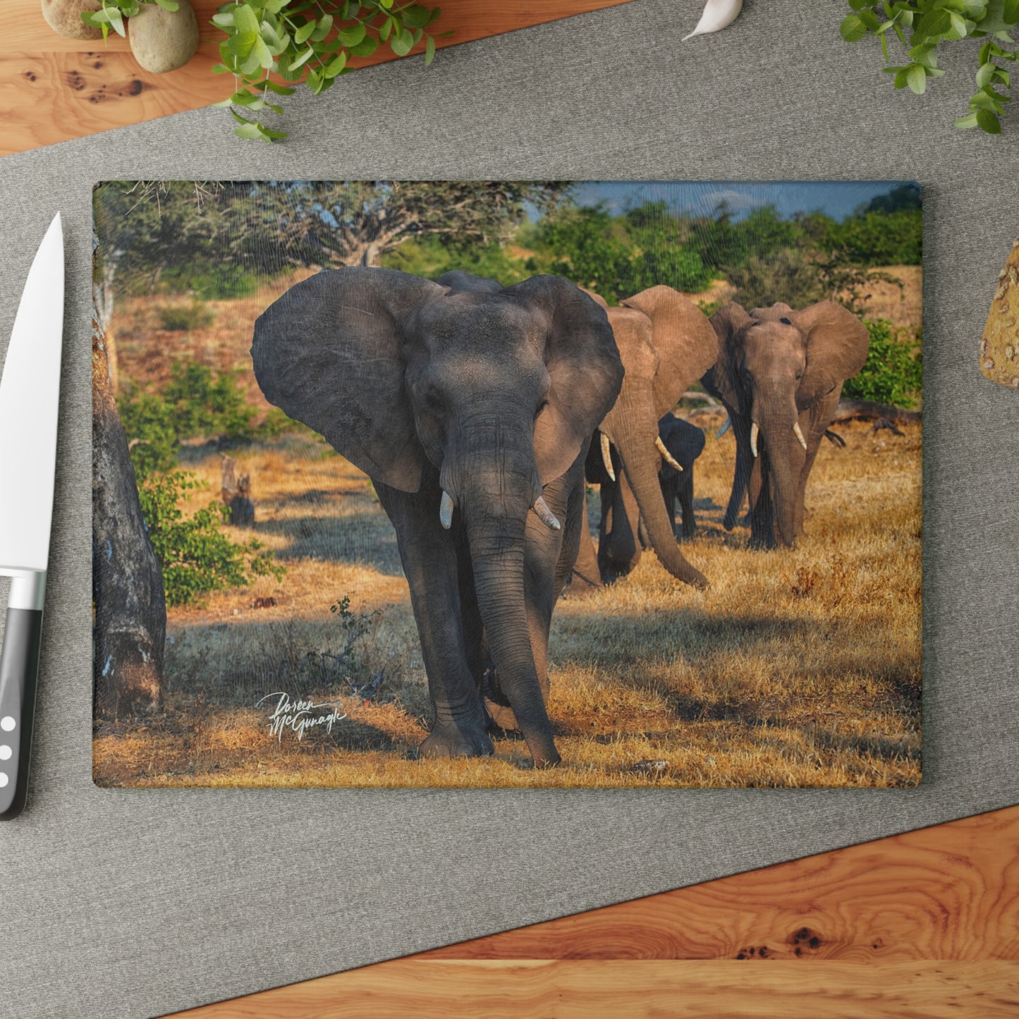 Enjoy Nature Glass Charcuterie Cutting Board with Elephant Family Design