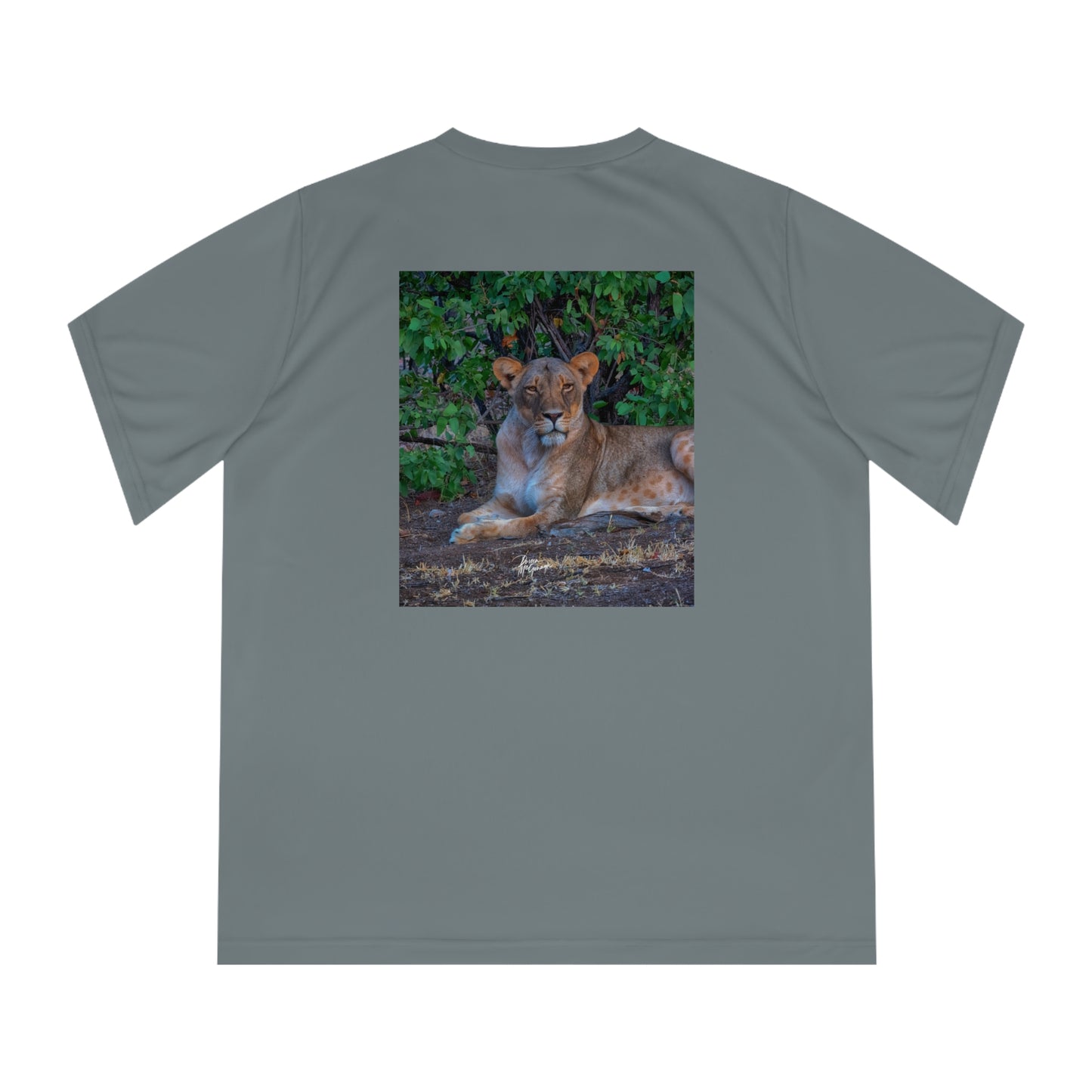 Women's Performance V-Neck T-Shirt - Dreaming About a Lioness by Enjoy Nature