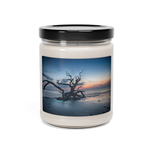 Natural Scented Soy Candles Jekyll Island Sunrise, 9oz, nature inspired decor