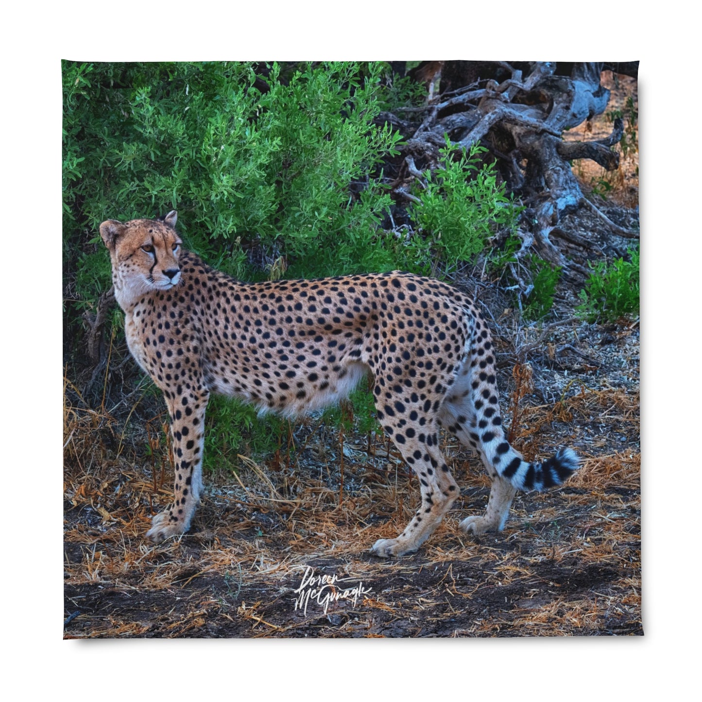 Enjoy Nature Cheetah Stand Duvet Cover