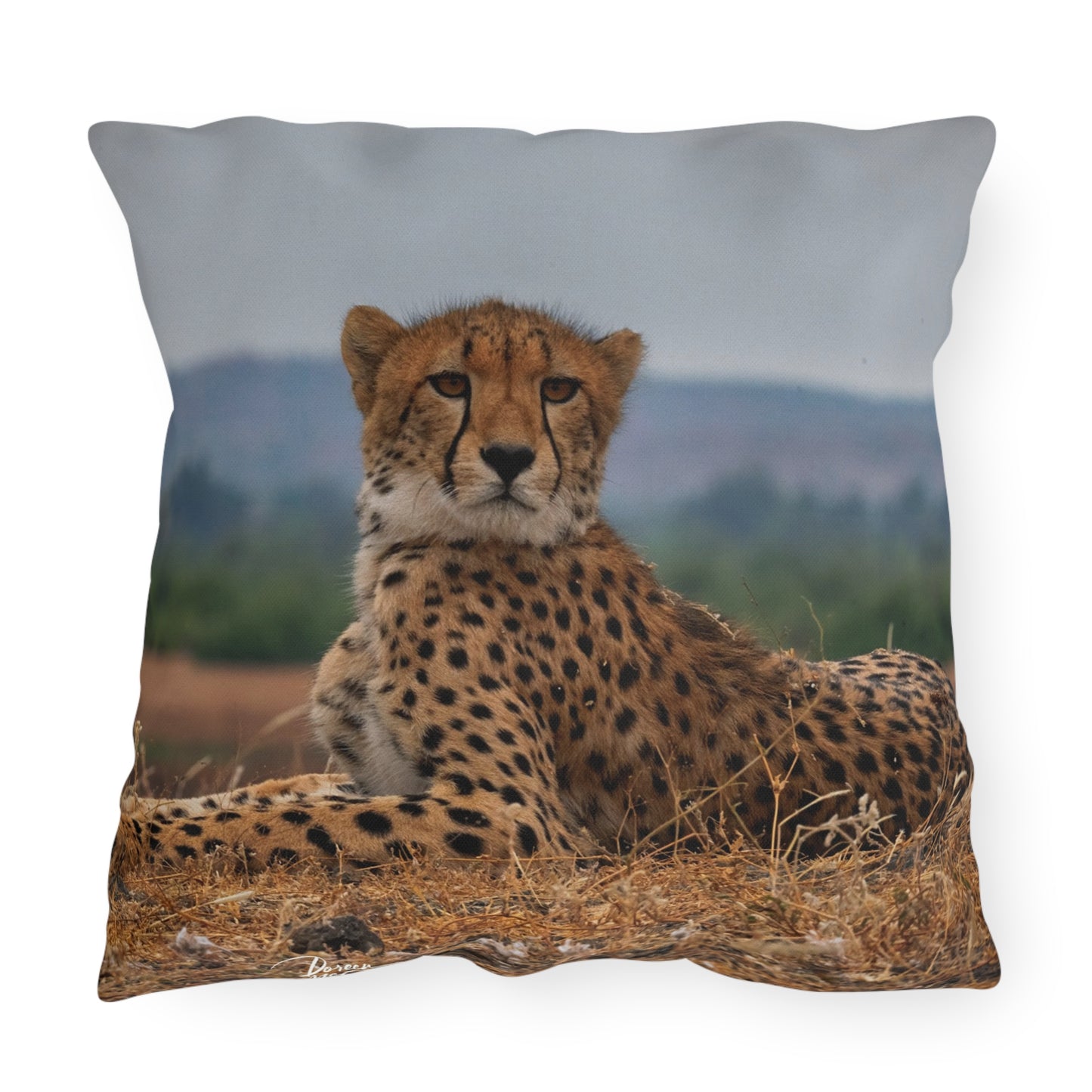 Enjoy Nature Outdoor Pillow with Cheetah Portrait – Artistic, Comfy, and Durable Decorative Accent