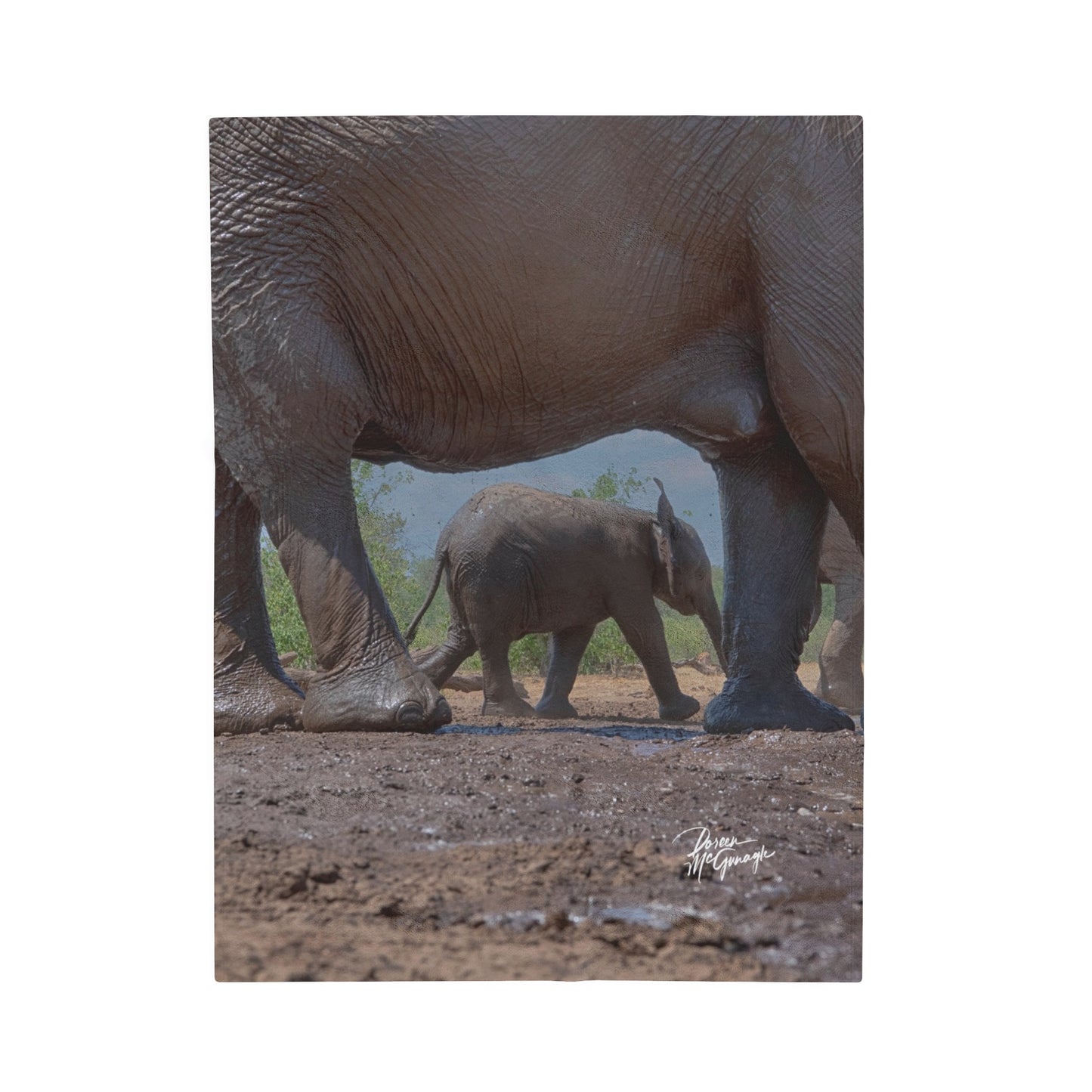 Velveteen Plush Blanket with Mother Watching Over Elephant Baby by Enjoy Nature