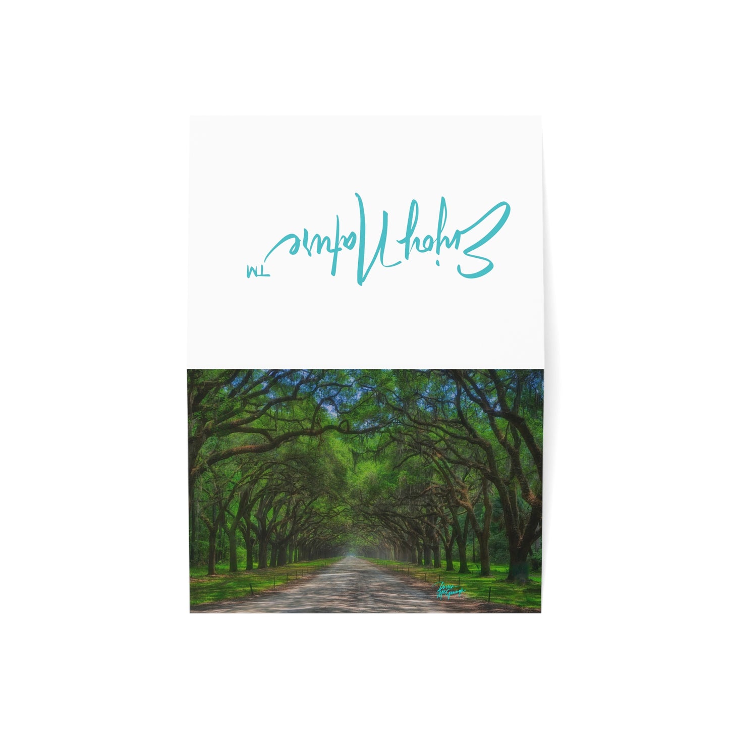 Photo note cards, Live Oak Avenue, box note cards, (10 pcs)