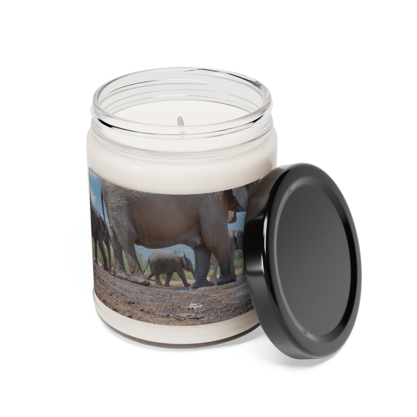 Experience the Pure Essence of Nature with the Elephant Baby Walking Scented Soy Candle by Enjoy Nature