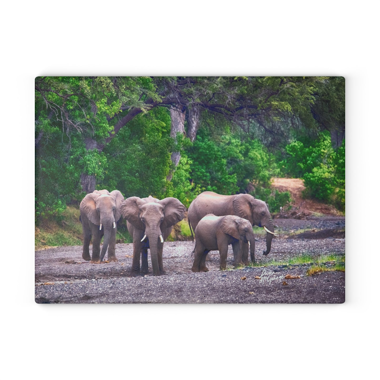 Enjoy Nature Glass Charcuterie Cutting Board with Elephant Family Design