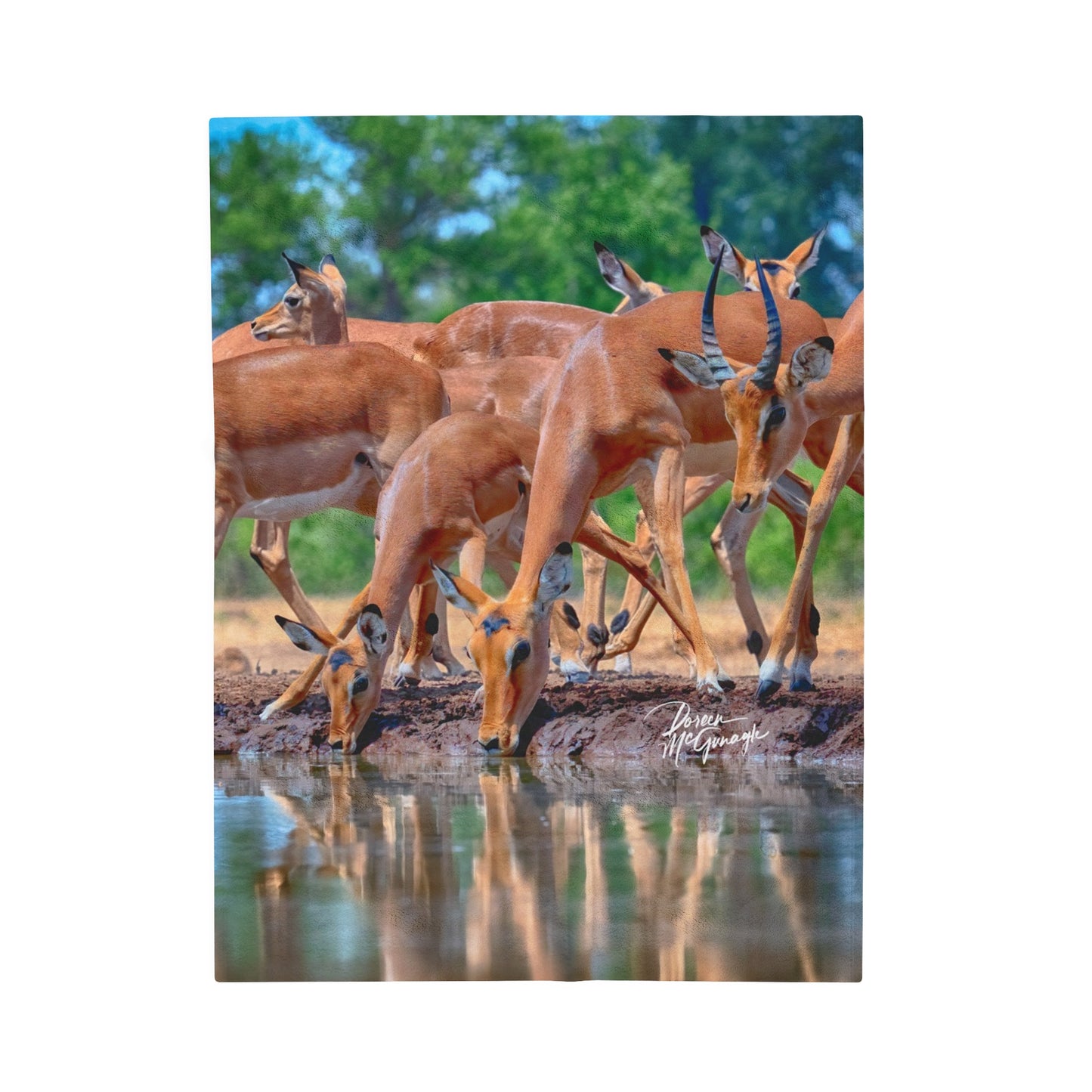 Velveteen Plush Blanket with African Antelope by Enjoy Nature