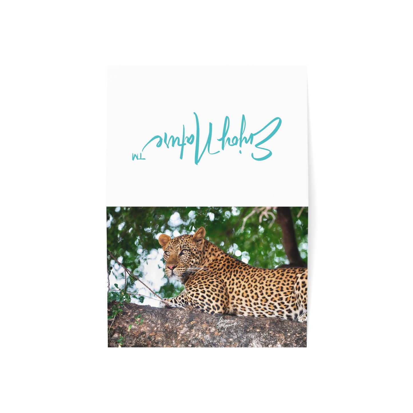 5x7 Note Card Box of 10: Leopard in Tree | Botswana Africa