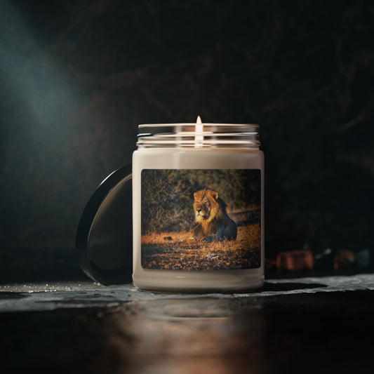 Experience the Pure Essence of Nature with the Lion King of Jungle Scented Soy Candle by Enjoy Nature