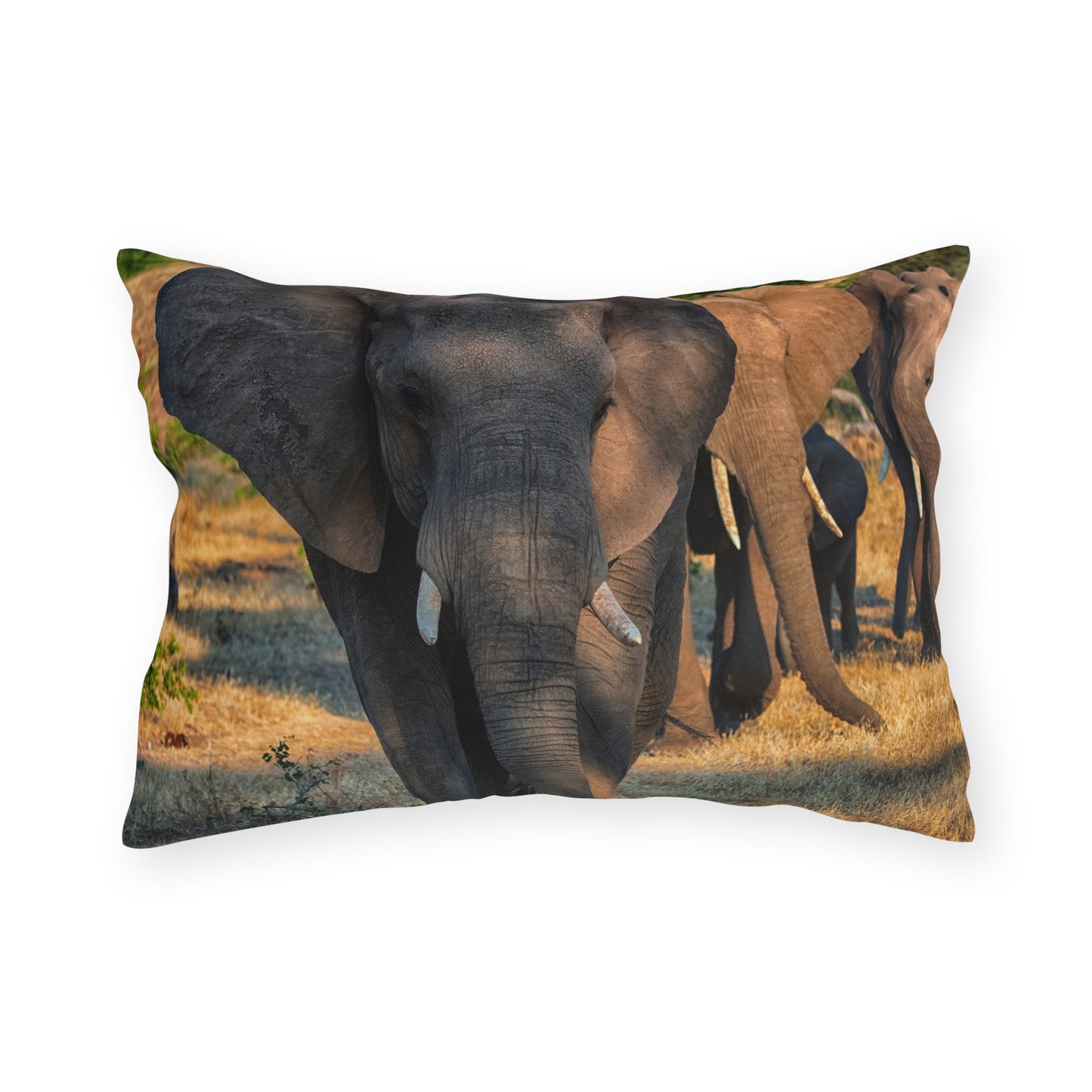 Enjoy Nature Outdoor Pillow with Elephant Family – Artistic, Comfy, and Durable Decorative Accent