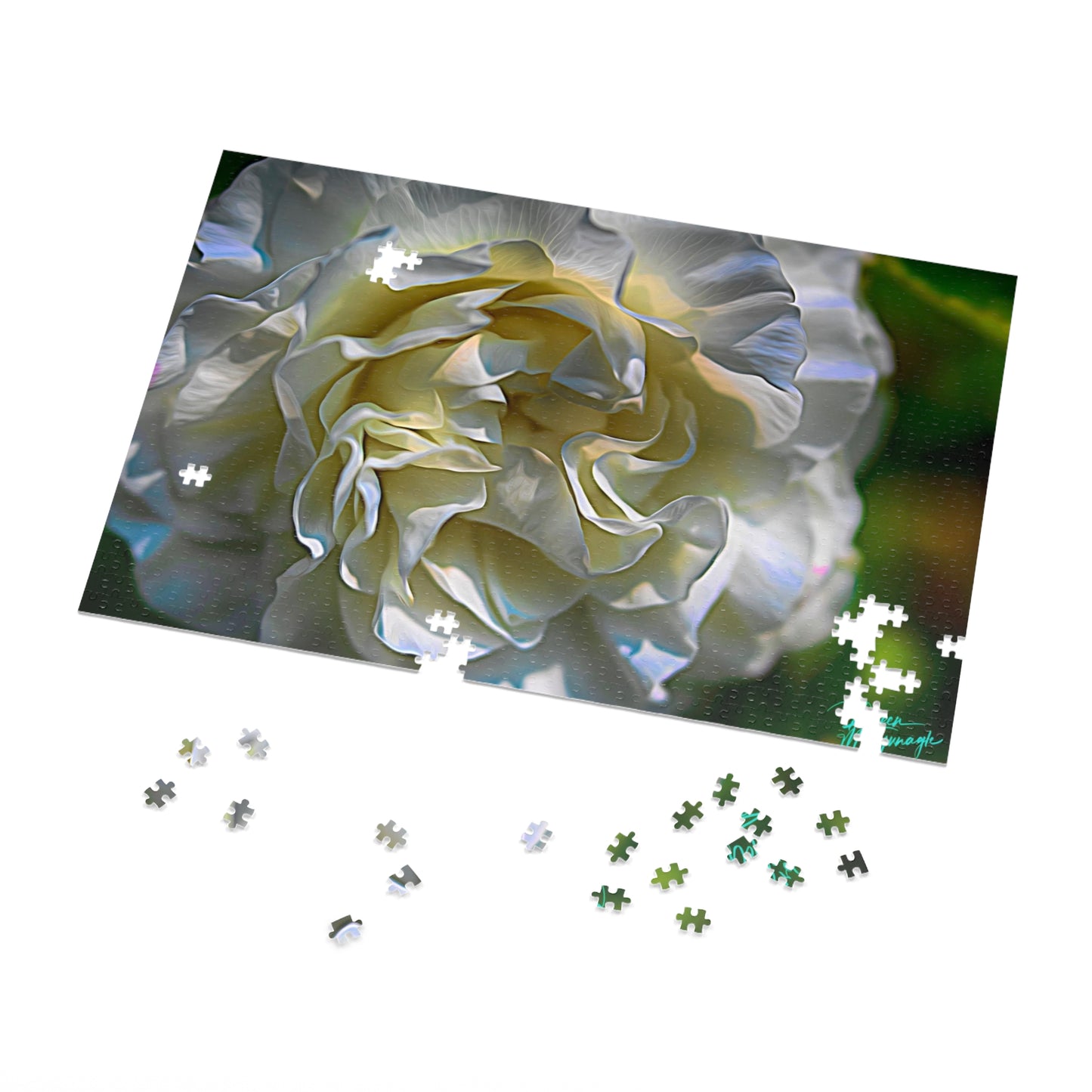 Nature Puzzles, Nova Scotia White Rose Bloom, inspired by nature