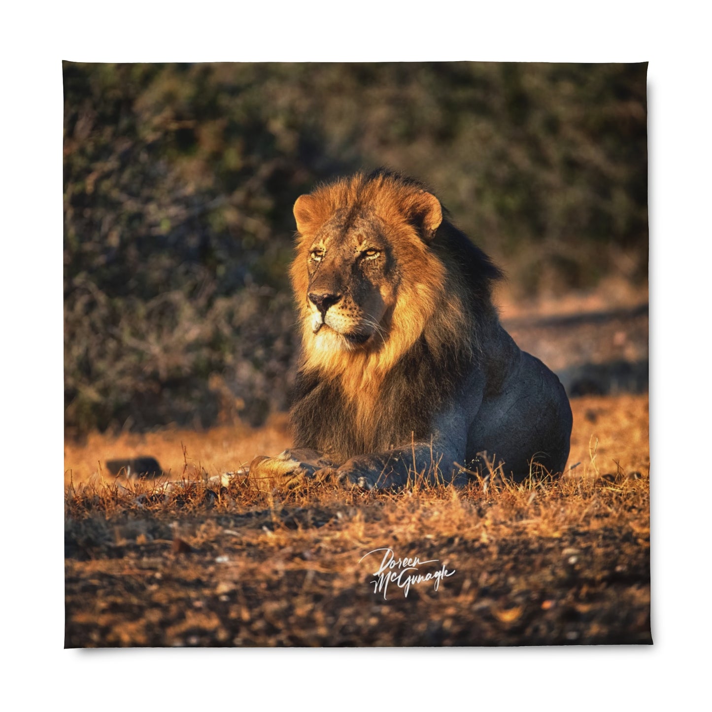 Enjoy Nature Lion King of Jungle Duvet Cover