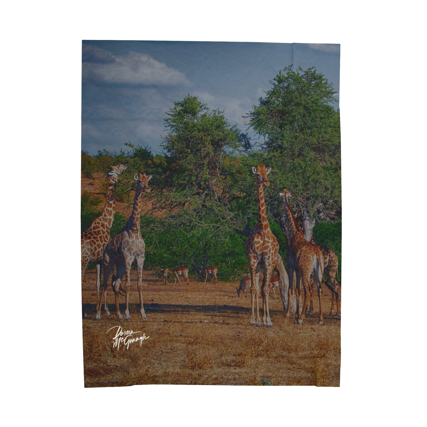 Velveteen Plush Blanket with Giraffe Family by Enjoy Nature