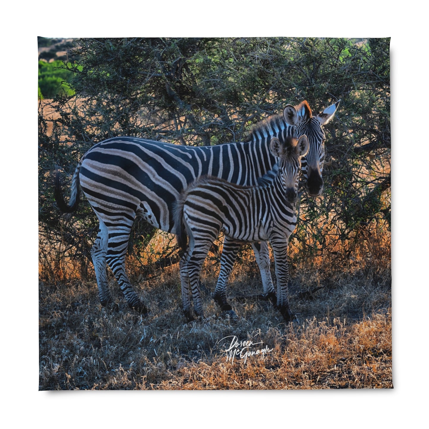 Enjoy Nature Zebra Stripes Duvet Cover