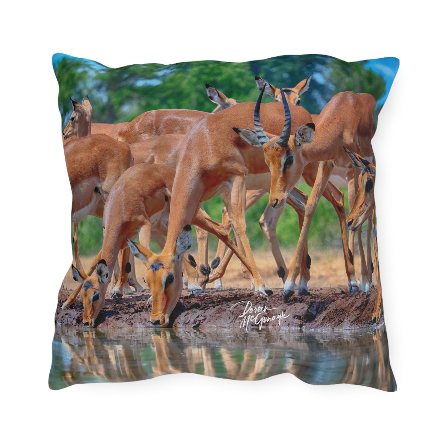 Enjoy Nature Outdoor Pillow with African Antelope at Watering Hole – Artistic, Comfy, and Durable Decorative Accent