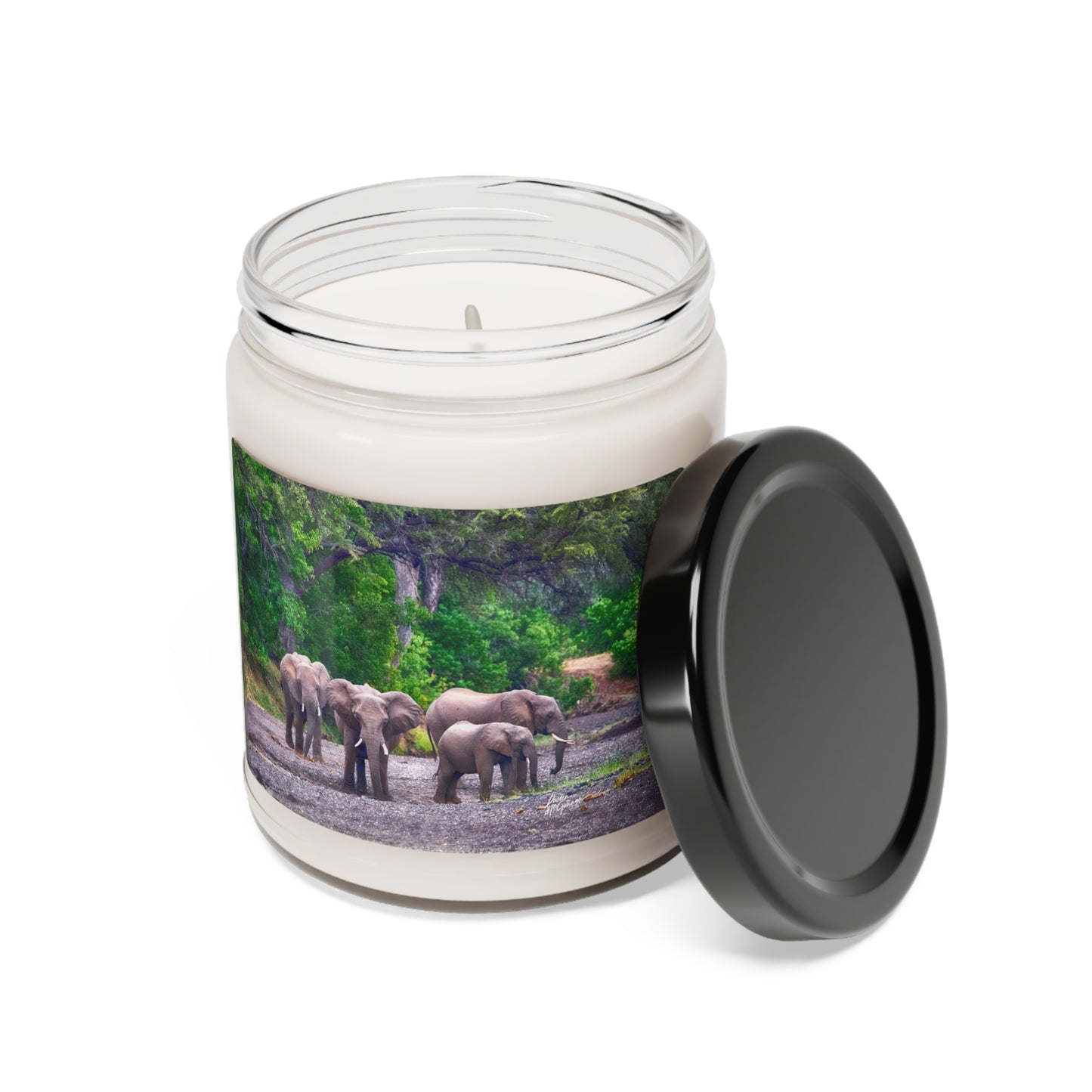 Experience the Pure Essence of Nature with the Elephant Family on Savanna Scented Soy Candle by Enjoy Nature