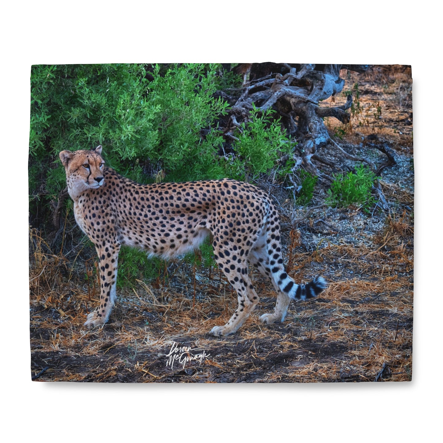 Enjoy Nature Cheetah Stand Duvet Cover