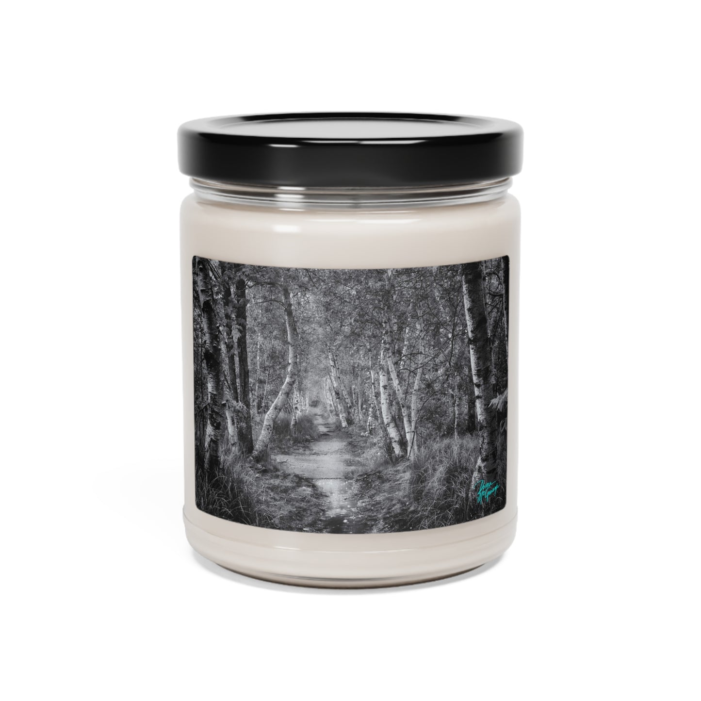 Simple Nature Candle, Forest Candle Design, Best Aroma Candle, Non toxic candles, nature candles,  Silver Birch Nature path