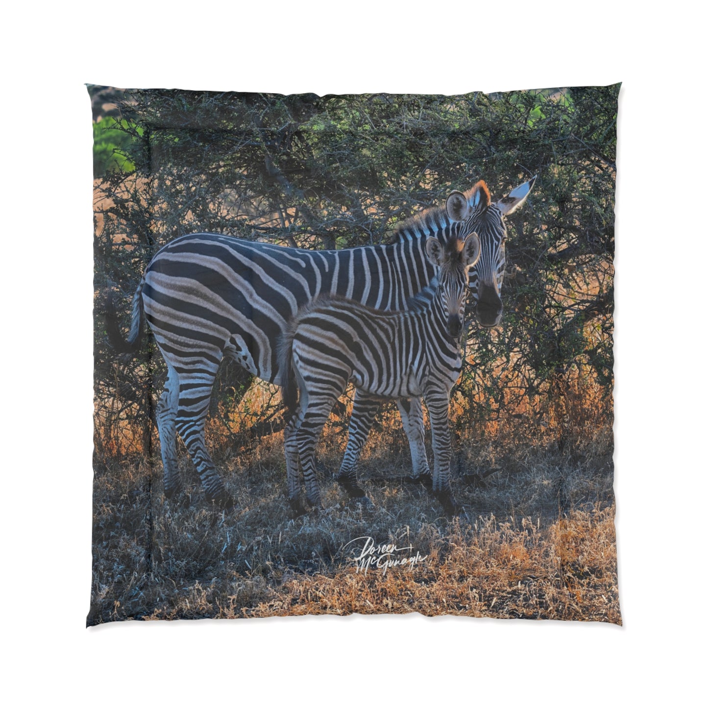 Zebra Stripes Comforter by Enjoy Nature