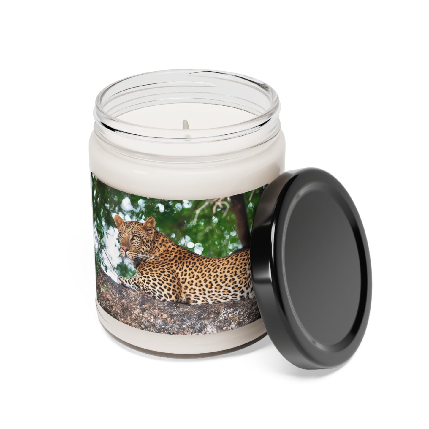 Experience the Pure Essence of Nature with the Leopard in Tree Scented Soy Candle by Enjoy Nature