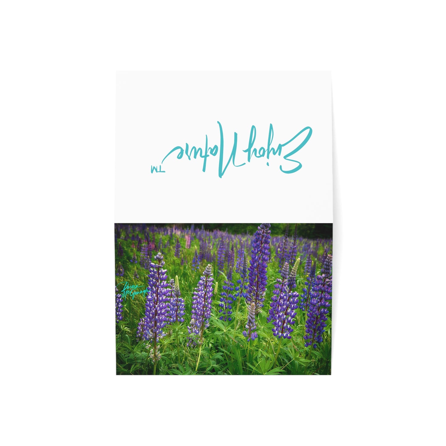 Photo note cards, Maine Wild Lupines, boxed  note cards (10 pcs)