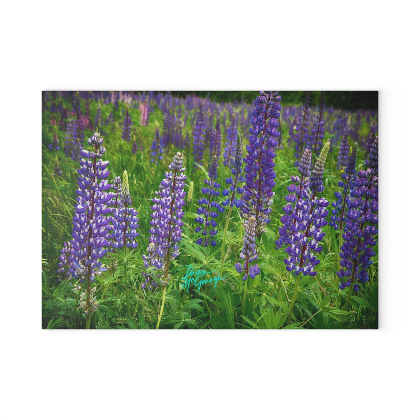 Artistic Wild Lupine Flowers Glass Cutting Board with Nature-Inspired Design